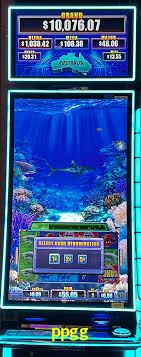 ppgg casino