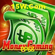 VIP Casino ppgg
